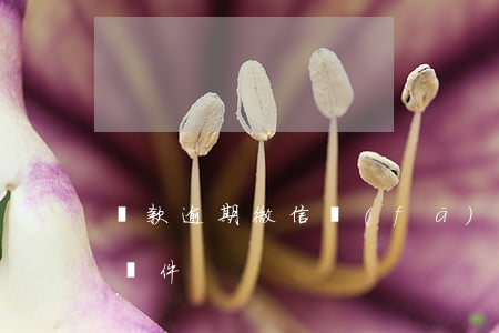 貸款逾期微信發(fā)郵件(收到貸款逾期郵件)