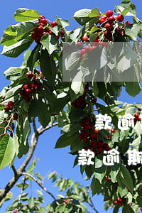 貸款逾期微信的錢會(huì)被扣掉嗎（貸款逾期微信的錢會(huì)被扣掉嗎）