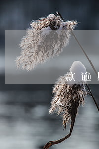 貸款逾期怎么主動還(貸款逾期要求還全款怎么辦)