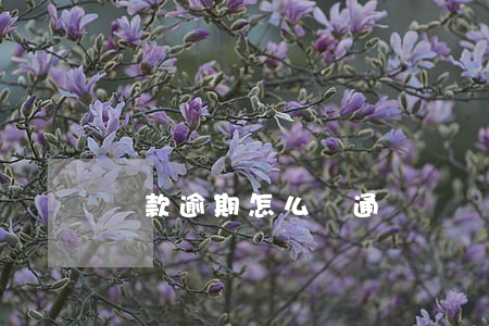 貸款逾期怎么報通訊錄(銀行貸款逾期會爆通訊錄嗎)