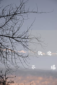 貸款逾期怎么會打爆通訊錄（錫商貸逾期后會不會爆通訊錄）