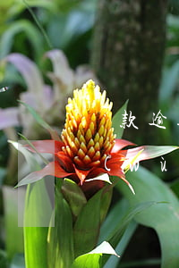 貸款逾期怎么查詢是不是真的被起訴了（債務(wù)逾期怎么查詢被起訴）