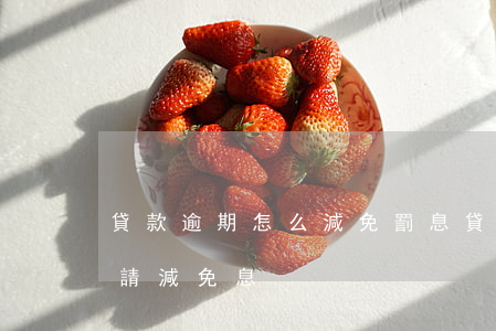 貸款逾期怎么減免罰息(貸款逾期多久可以申請減免息)