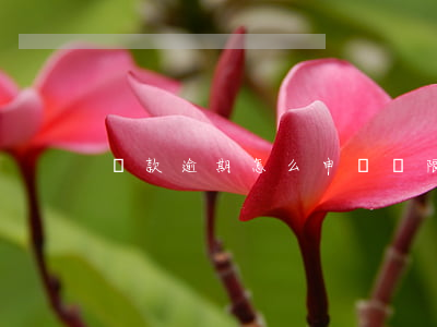 貸款逾期怎么申請寬限期(貸款逾期多久)
