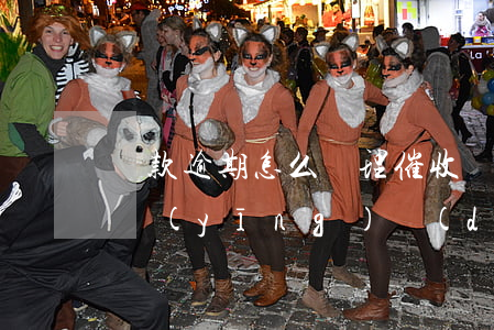 貸款逾期怎么處理催收(貸款逾期被催收怎么應(yīng)對(duì))