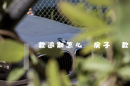 貸款逾期怎么買房子(貸款買房逾期了怎么辦)