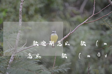 貸款逾期怎么貸款買(mǎi)房(征信逾期怎么辦貸款買(mǎi)房)