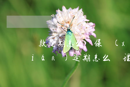 貸款逾期怎么賠保險(xiǎn)(保險(xiǎn)逾期怎么處理)