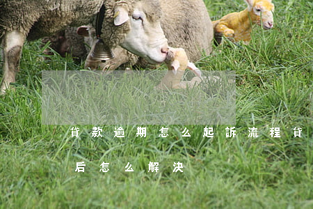 貸款逾期怎么起訴流程(貸款逾期被起訴立案后怎么解決)