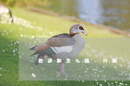 貸款逾期怎么跟銀行解釋(銀行導致的逾期怎么辦)