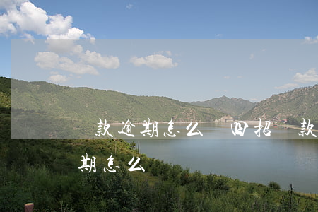 貸款逾期怎么辦四招(貸款嚴(yán)重逾期怎么辦)