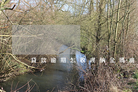 貸款逾期怎收遲納金嗎(逾期貸款催收措施)