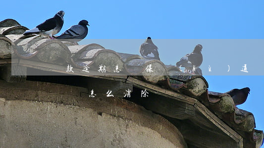 貸款逾期怎樣保護(hù)通訊錄(貸款逾期記錄怎么消除)