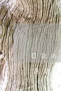 貸款逾期怎樣會被認(rèn)定(貸款逾期有什么后果嚴(yán)重)
