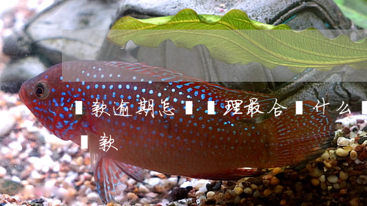 貸款逾期怎樣處理最合適(什么貸款逾期可以貸款)