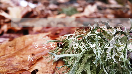 貸款逾期怎(貸款逾期怎么協(xié)商還款)