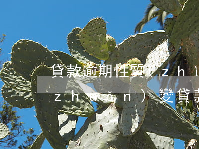 貸款逾期性質(zhì)發(fā)生轉(zhuǎn)變(貸款逾期性質(zhì)發(fā)生重大轉(zhuǎn)變)