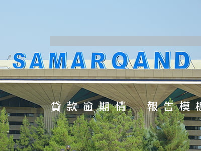 貸款逾期情況報告模板(貸款逾期信息模板)