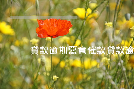 貸款逾期惡意催款(貸款逾期惡意催款)