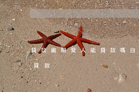 貸款逾期愛人能貸款嗎(自己逾期會影響家人貸款)