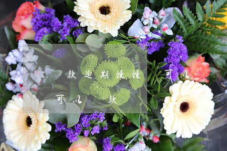 貸款逾期慢慢還可以嗎(貸款逾期還上后,多久可以貸款)