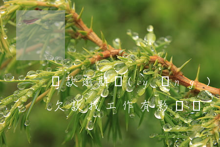 貸款逾期應(yīng)該找什么工作(逾期欠款找工作有影響嗎)