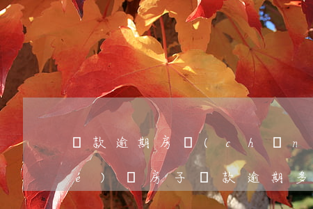 貸款逾期房產(chǎn)會被凍結(jié)嗎(房子貸款逾期多久會查封)