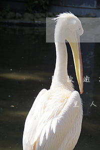 貸款逾期打家里人算違法嗎(銀行貸款逾期打家里人電話(huà)是違法嗎)