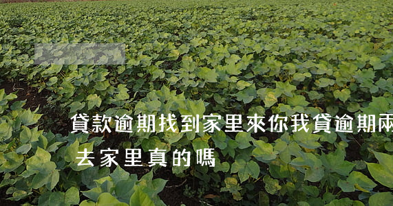 貸款逾期找到家里來(你我貸逾期兩年了說要去家里真的嗎)