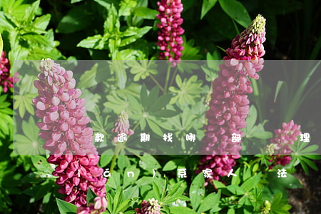 貸款逾期找哪個部門處理(貸款逾期后聯(lián)系家人違法嗎)