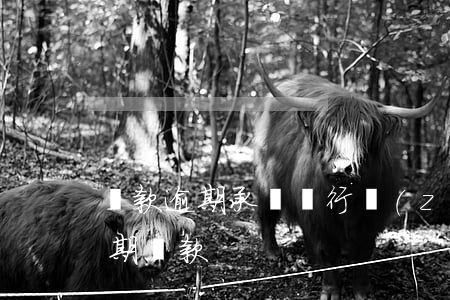 貸款逾期承貸銀行責(zé)任(銀行貸款逾期還款)
