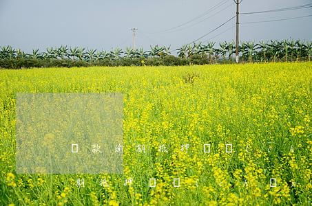 貸款逾期抵押資產(chǎn)包括(貸款逾期抵押資產(chǎn)包括)