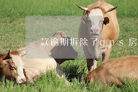 貸款逾期拆除了gps(房屋貸款逾期)
