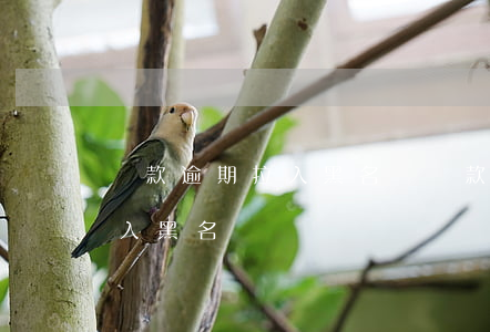 貸款逾期拉入黑名單(貸款逾期一個星期會進入黑名單嗎)