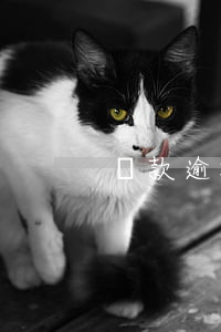 貸款逾期拖車違法嗎