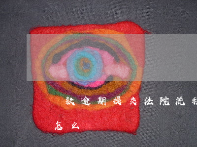 貸款逾期提交法院流程（提交法院的材料逾期怎么辦）