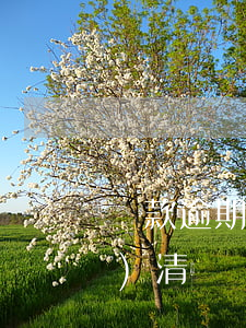 貸款逾期提前到期(逾期貸款提前結(jié)清)