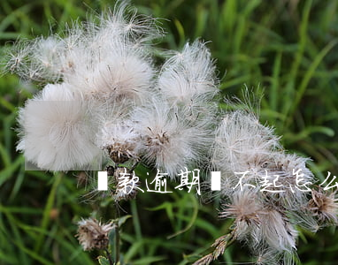 貸款逾期換不起怎么辦