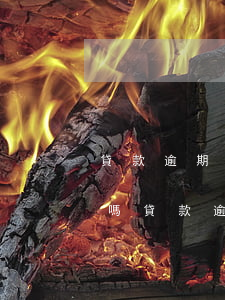 貸款逾期換個(gè)號(hào)碼可以嗎(貸款逾期換了手機(jī)號(hào)他們能找到嗎)