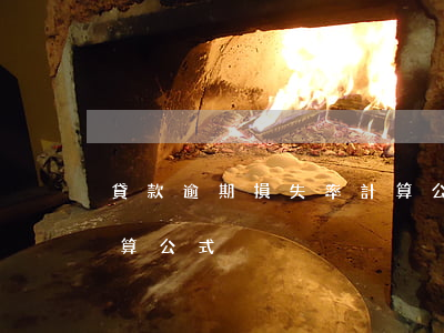 貸款逾期損失率計算公式(貸款違約損失率計算公式)
