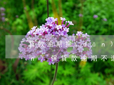 貸款逾期擔(dān)保人的后果(擔(dān)保貸款逾期不還擔(dān)保人會怎么樣)