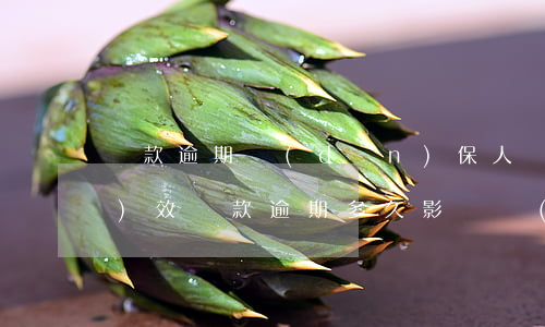 貸款逾期擔(dān)保人訴訟時(shí)效(貸款逾期多久影響擔(dān)保人)
