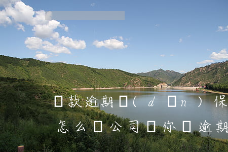 貸款逾期擔(dān)保公司幫我把錢還了怎么辦（公司幫你還逾期貸款）