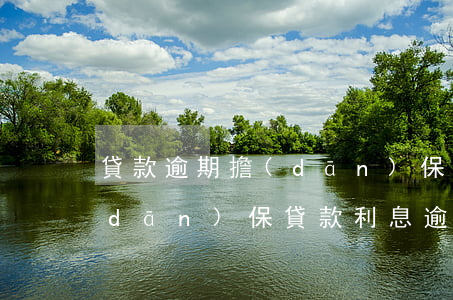 貸款逾期擔(dān)保影響征信嗎-擔(dān)保貸款利息逾期影響征信嗎