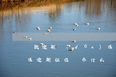 貸款逾期擔(dān)保征信(擔(dān)保逾期征信顯示什么)
