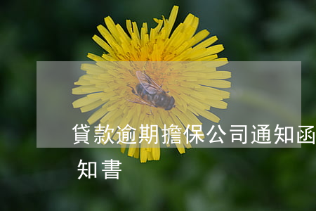 貸款逾期擔保公司通知函(給擔保人的催款通知書)