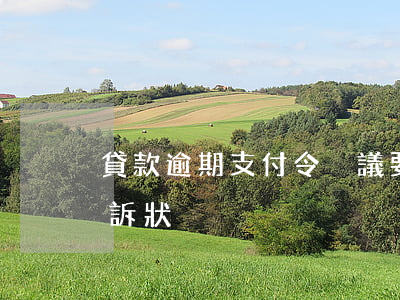貸款逾期支付令異議(要求支付逾期利息的起訴狀)
