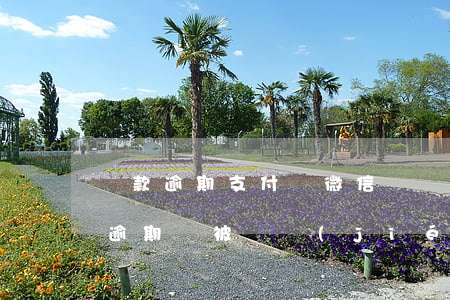 貸款逾期支付寶微信凍結(jié)(支付寶逾期會被凍結(jié)微信資產(chǎn)嗎)