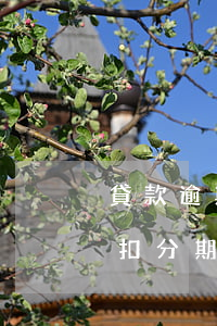 貸款逾期收到代扣分期信息(貸款逾期收到代扣分期信息是真的嗎)