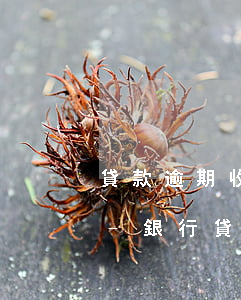 貸款逾期收到廣東銀潤律師事務(wù)所-銀行貸款逾期收到律師函